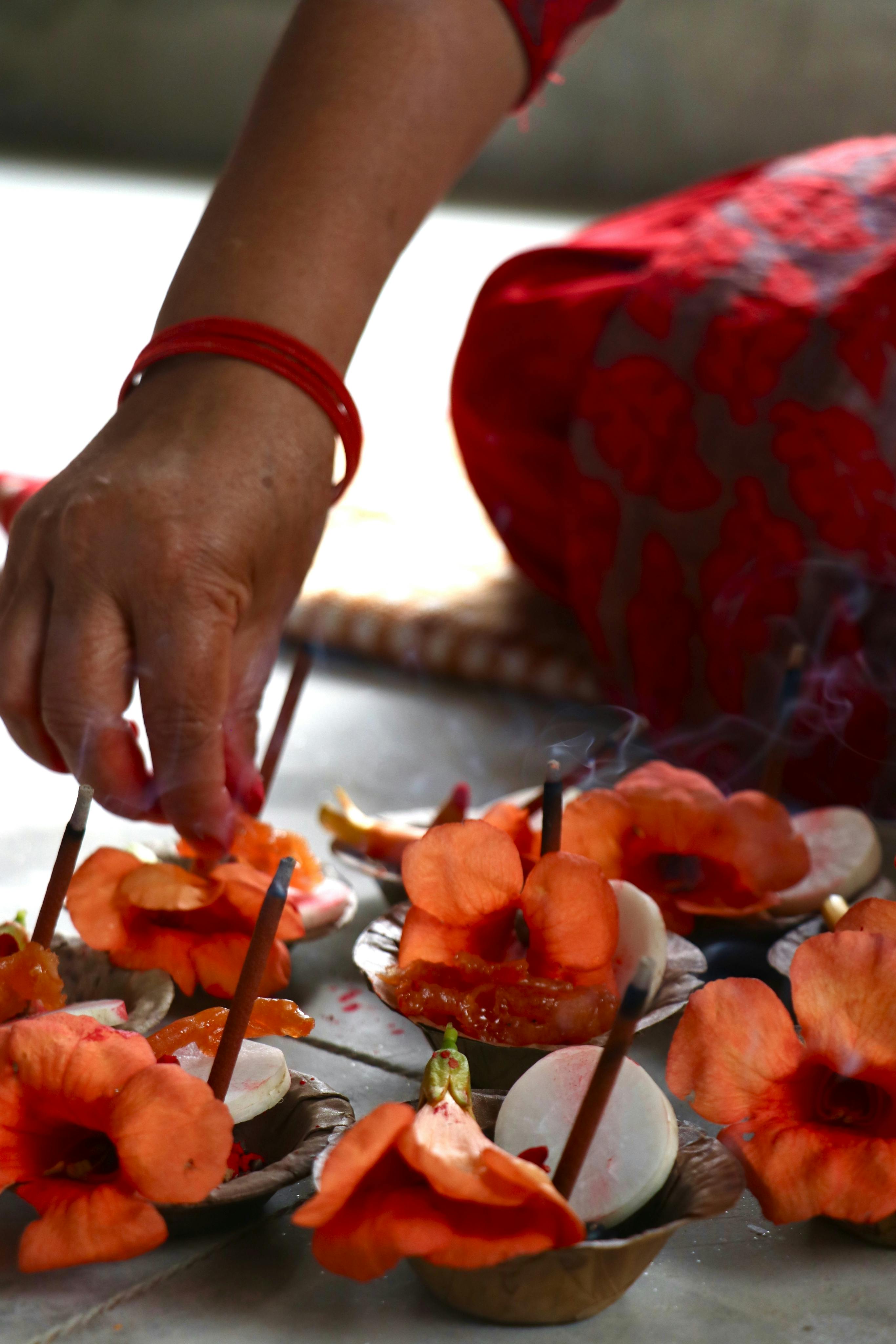 Sanatan Vedic Pujas in Haridwar