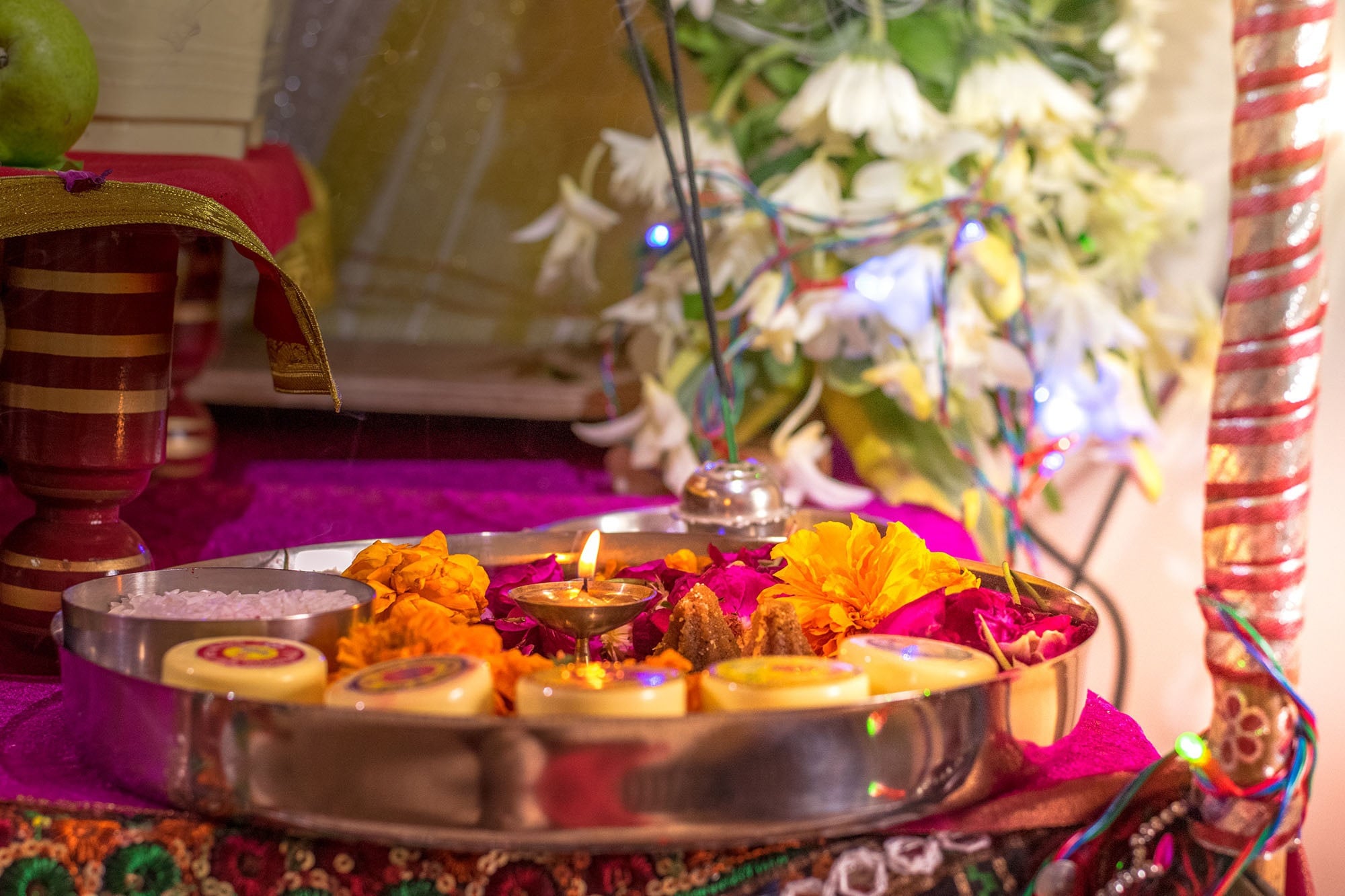 Vedic Pujas in Sanatan Culture